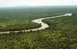 رودخانه گامبیا، پارک ملی نیوکولوکوبا 