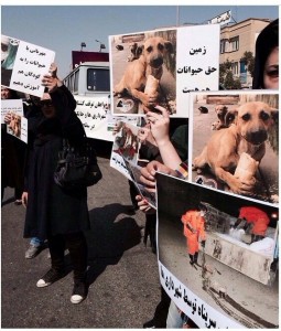 تظاهرات حمایت از حقوق حیوانات  در مشهد
